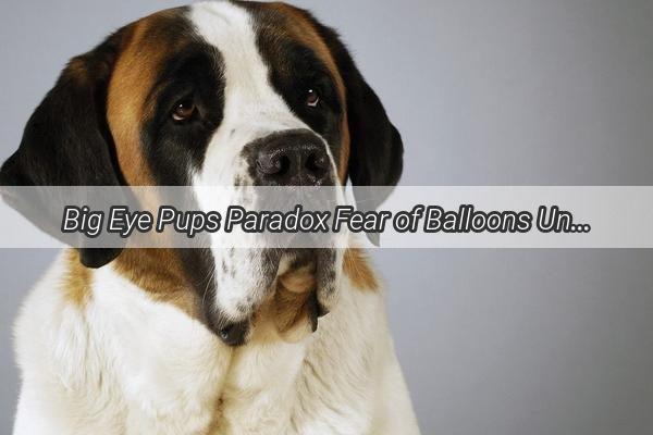 Big Eye Pups Paradox Fear of Balloons Unveiled